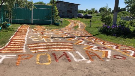 Волченские узоры 2020