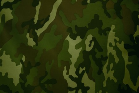 Пятнистый хаки