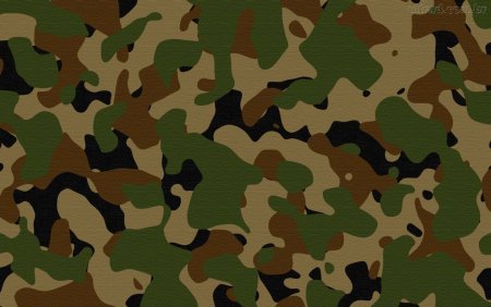 Маскировочная расцветка узор