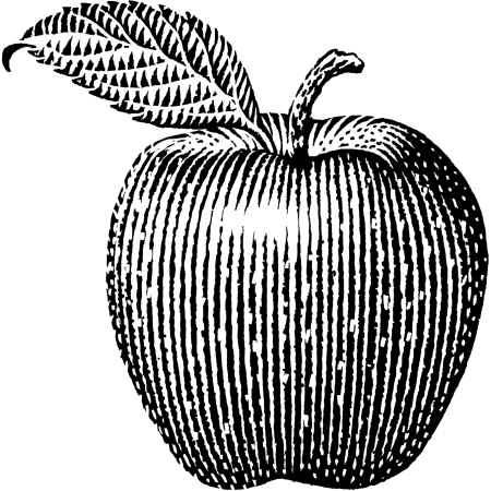 Яблоко с узорами (40 фото)