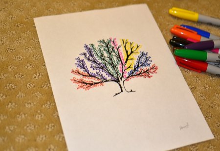 Бабочка Раскрашенная