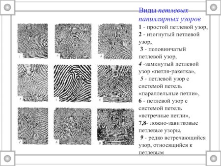 Завитковый Тип папиллярных узоров