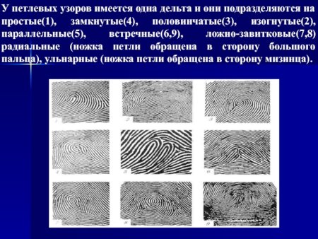 Шатровый дуговой узор дактилоскопия