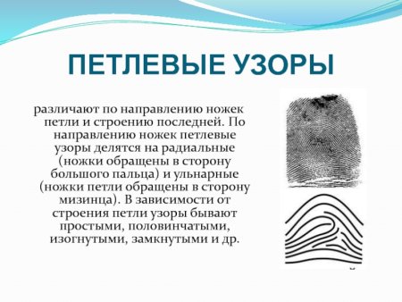 Шатровый дуговой узор дактилоскопия