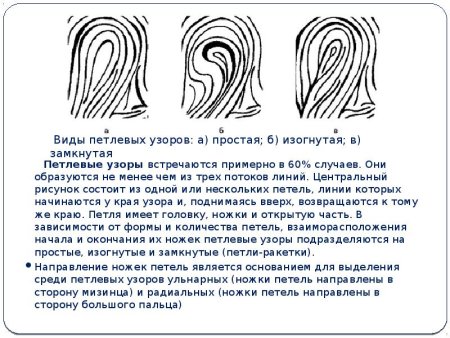 Типы узоров папиллярных линий