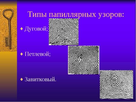 Тип папиллярного узора отпечатка пальца