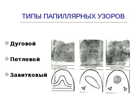 Шатровый дуговой папиллярный узор