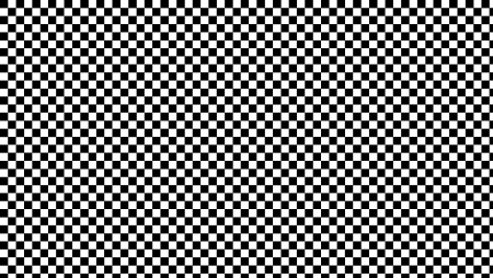 Checkerboard Distortion Grid