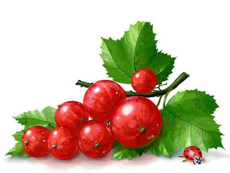 Вышивка крестом красная смородина