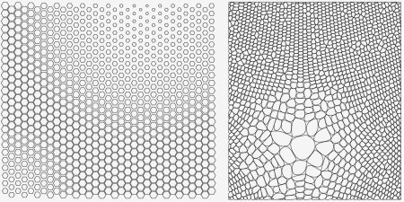Parametric pattern Grasshopper