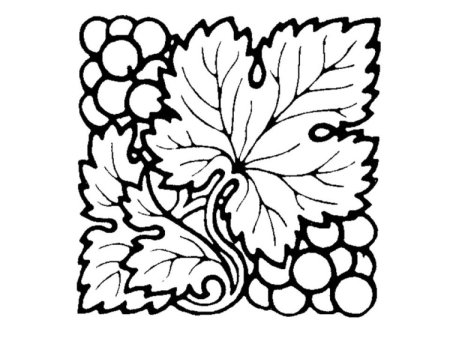 Виноградная лоза вектор