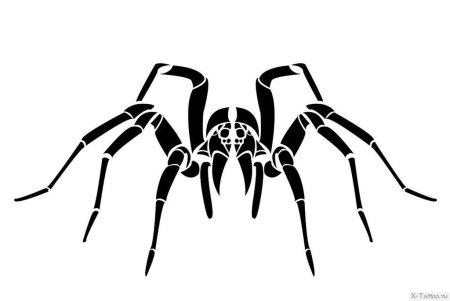 Узор паук (46 фото)