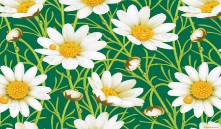 Daisies Flowers Графика