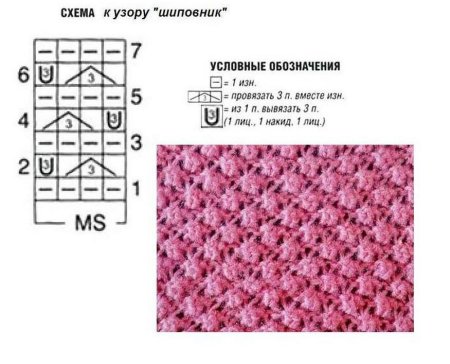 Простые схемы вязания спицами для начинающих с описанием
