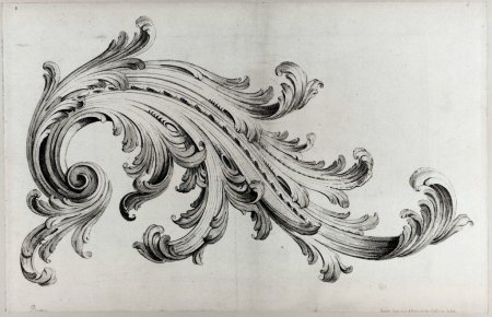 Акант гризайль