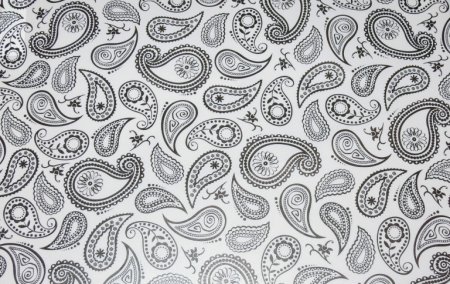 Paisley (пейсли)