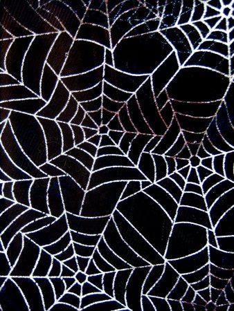 Паутина реалистичная