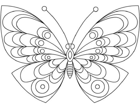 Детские раскраски бабочки