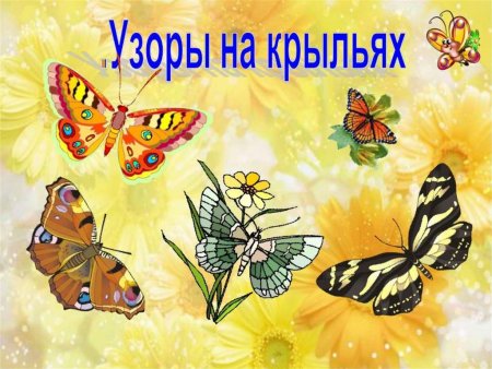 Бабочка изо