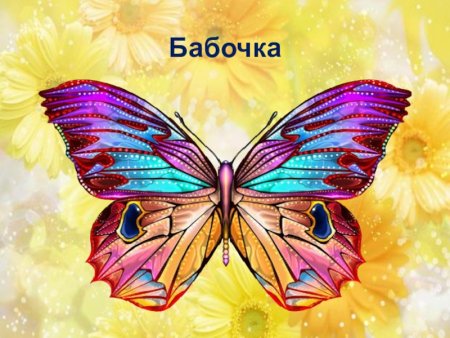 Бабочка изо