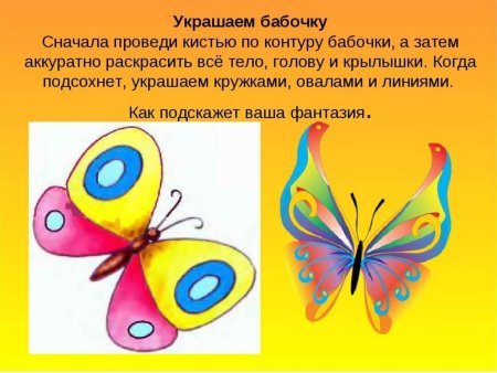 Бабочка раскраска для детей