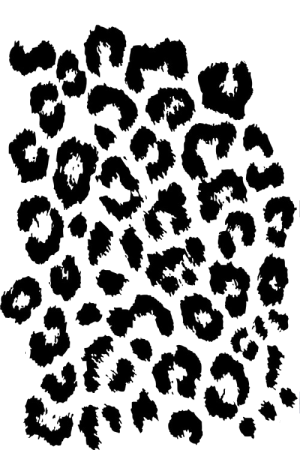 Пятна леопарда силуэт