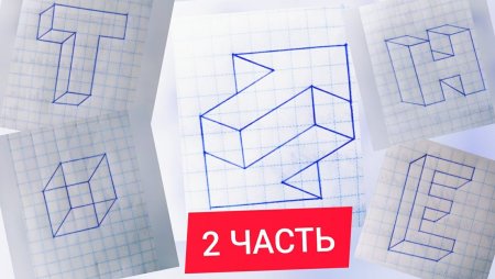 Объемные фигуры в тетради в клеточку