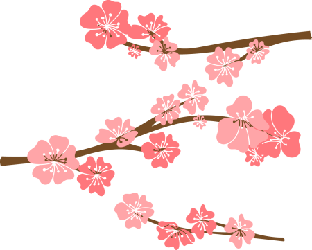 Ветка Сакуры рисунок