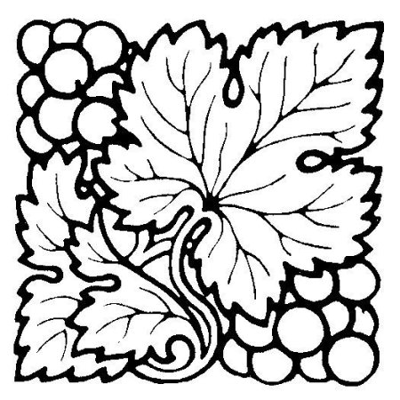 Виноградная лоза линогравюра