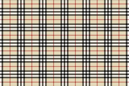 Принт Барбери Burberry