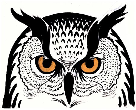 Голова Совы Графика