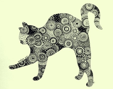 Кот зенарт