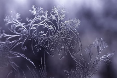 4 Февраля Тимофеев день Тимофей полузимник