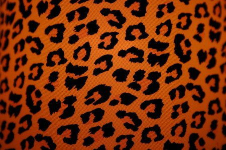 Узор леопардовый (50 фото)