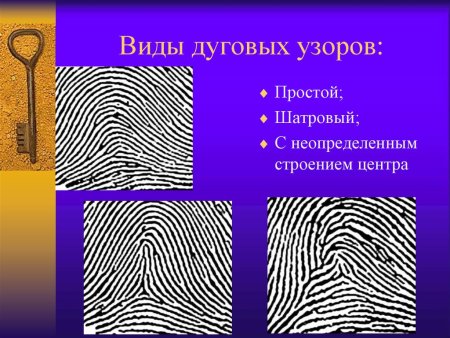 Шатровый дуговой узор дактилоскопия