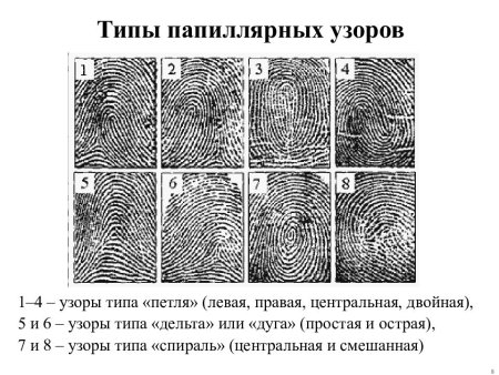 Дуговой папиллярный узор Дельта