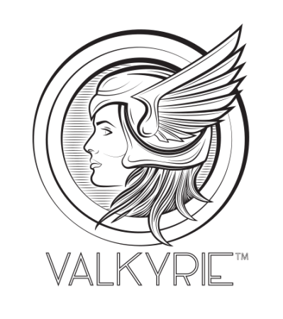 Valkyrie логотип