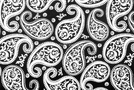 Paisley (пейсли)