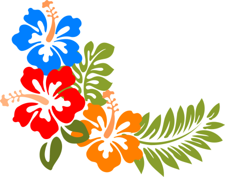Гавайские цветы