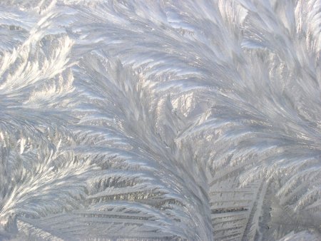 Морозные узоры на белом фоне