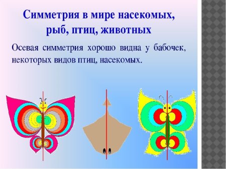 Симметричные фигуры рисунки
