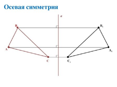 Осевая симметрия бабочка