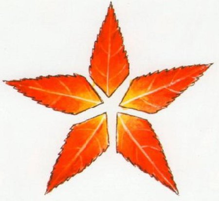 Цветочная Мандала