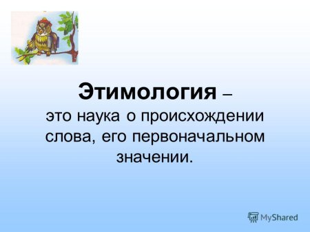 Наука о происхождении слов