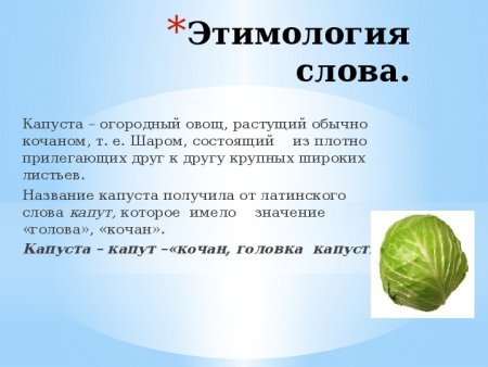 Происхождение названия лисы