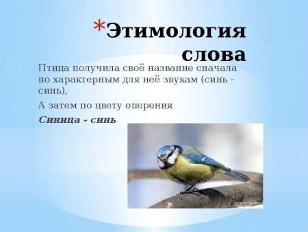 Презентация на тему этимология