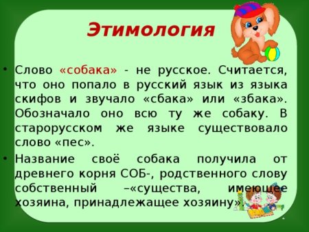 Этимология слова
