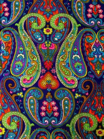 Индийский огурец пейсли