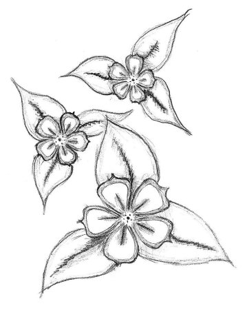 Рисунок розы карандашом для срисовки