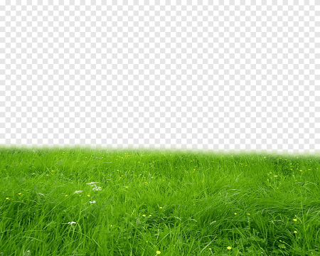 Луг на белом фоне